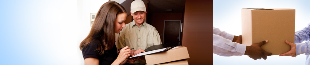 Rise India Logistics.