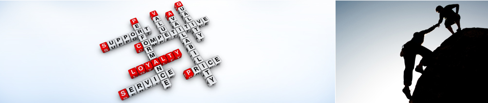 Rise India Logistics.
